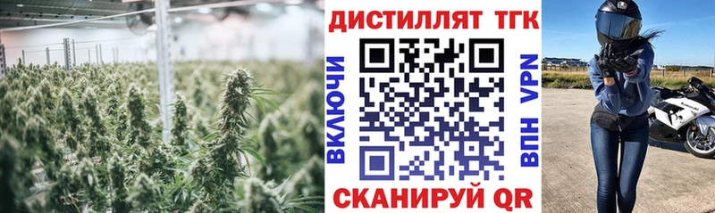как найти   Новопавловск  ТГК вейп с тгк 
