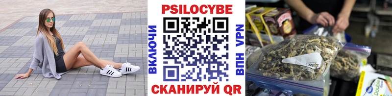 Псилоцибиновые грибы GOLDEN TEACHER KRAKEN маркетплейс Новопавловск